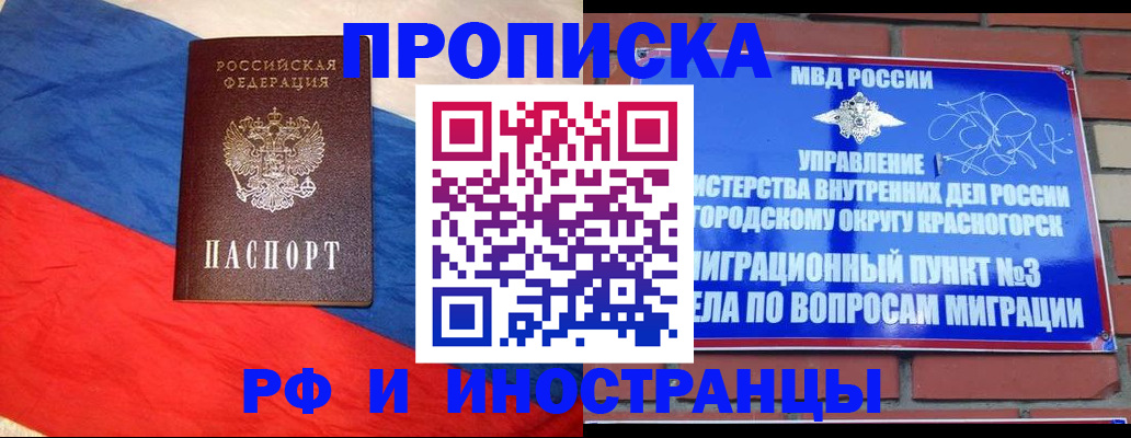 временная регистрация для всех в Мытищах
